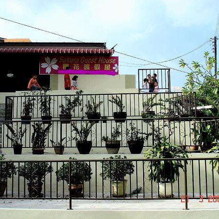 Sakura Guest House Камерън Хайлендс Екстериор снимка